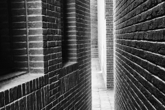 _DSC6848-a5
