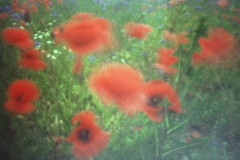 boki57_32_a1222040711