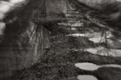 grazynakizlo5424_1kalu-sepia1m
