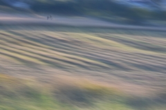 A_Krawczyk_Pole_2C_NEW_2551_9187