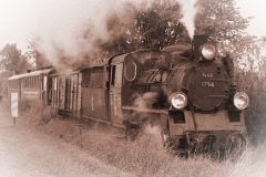 Jacek_Gozdziewicz_nr1-m_6437